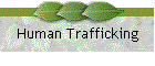 Human Trafficking