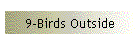9-Birds Outside
