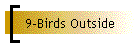 9-Birds Outside