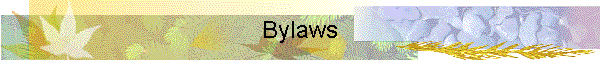 Bylaws