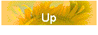 Up